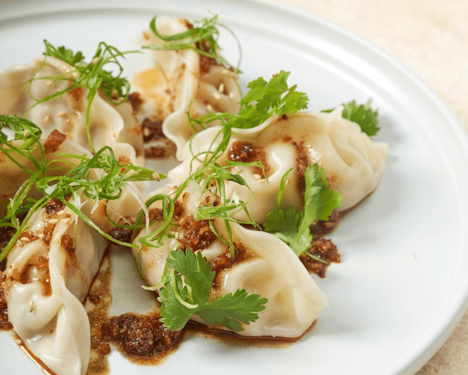 Spicy Gyoza'