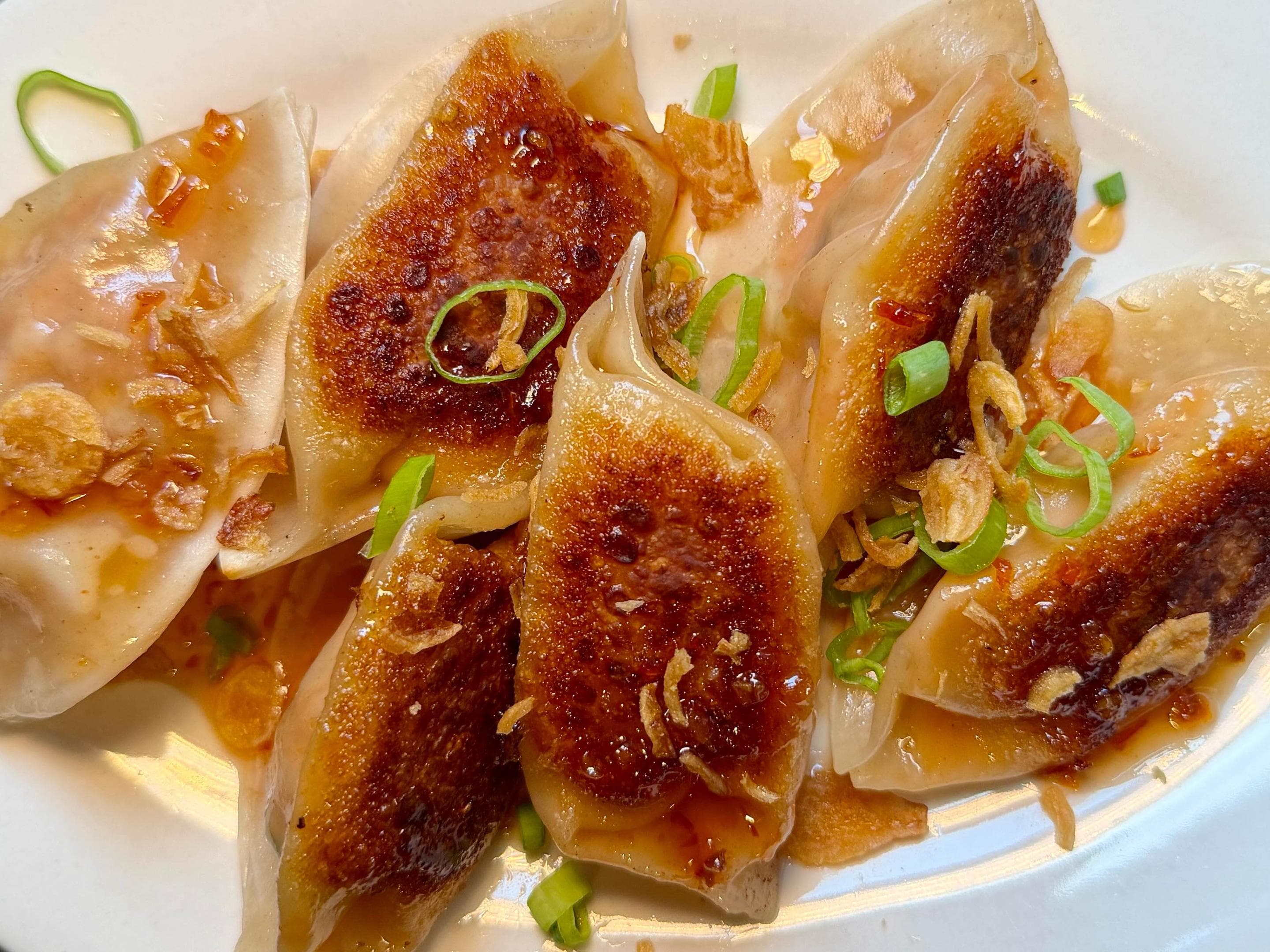 Hot Honey Chicken Dumplings