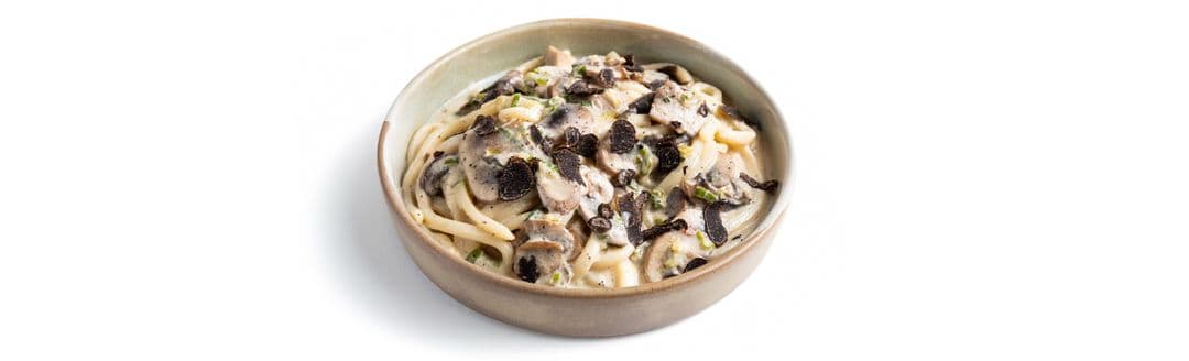 UDON NOODLES