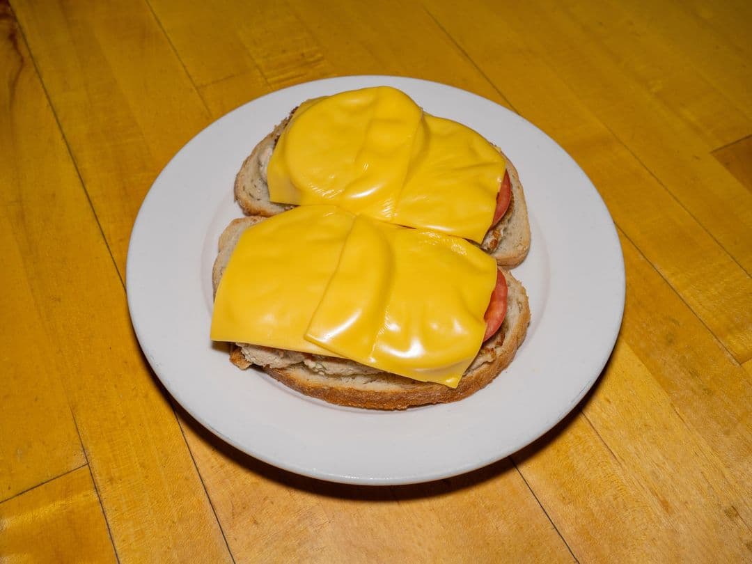 Tuna Melt