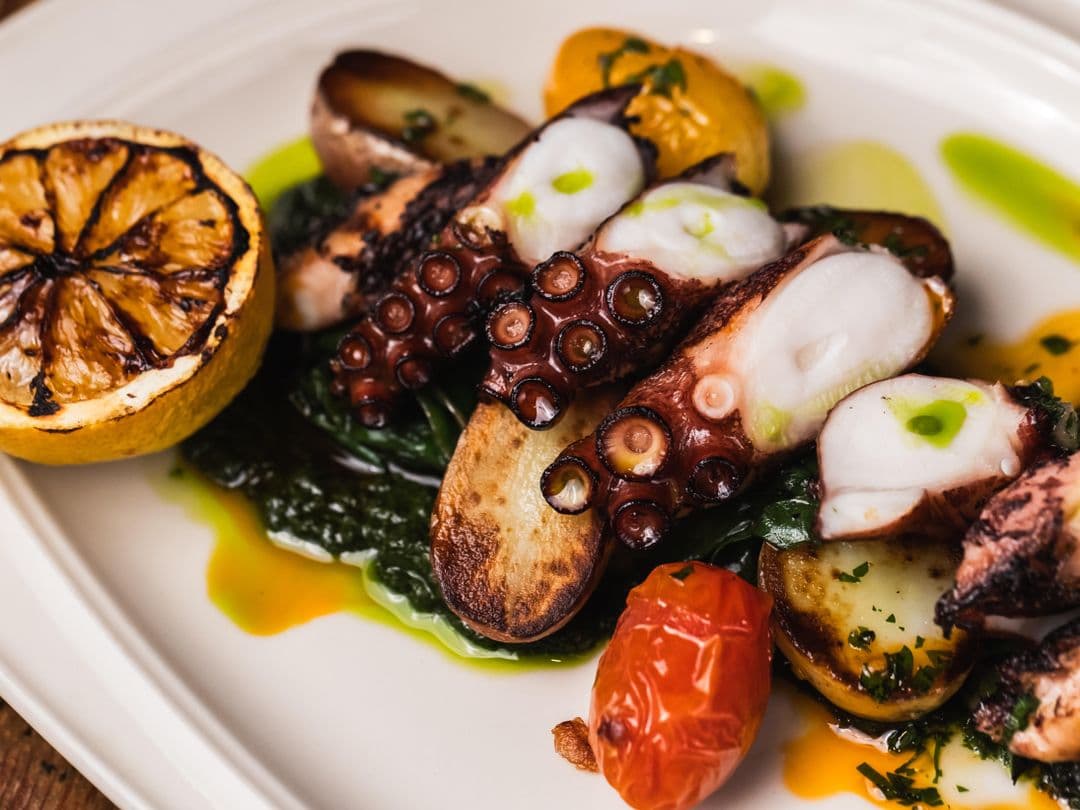 Charred Octopus