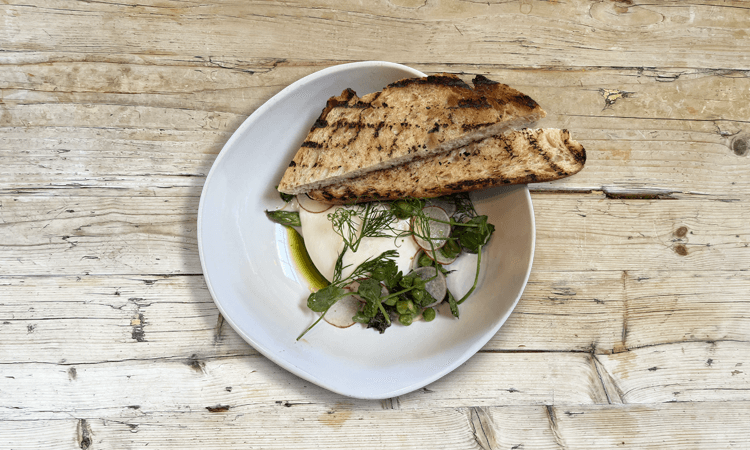 SPRING BURRATA