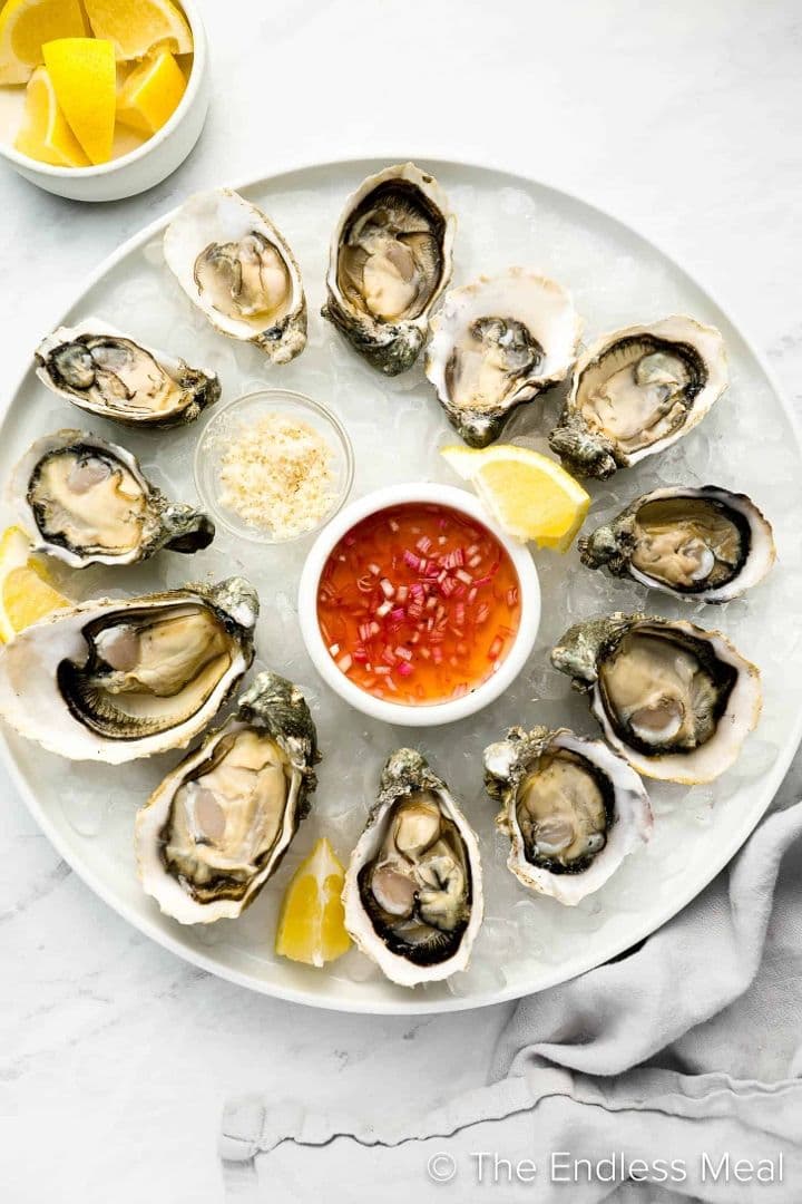 Oysters