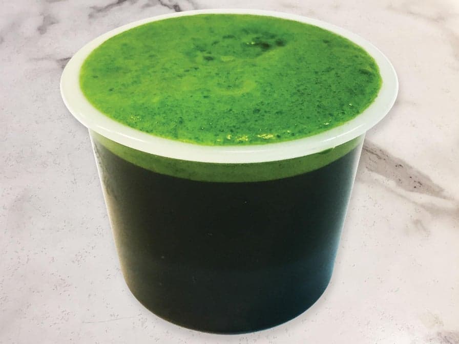 Wheat Grass Shot