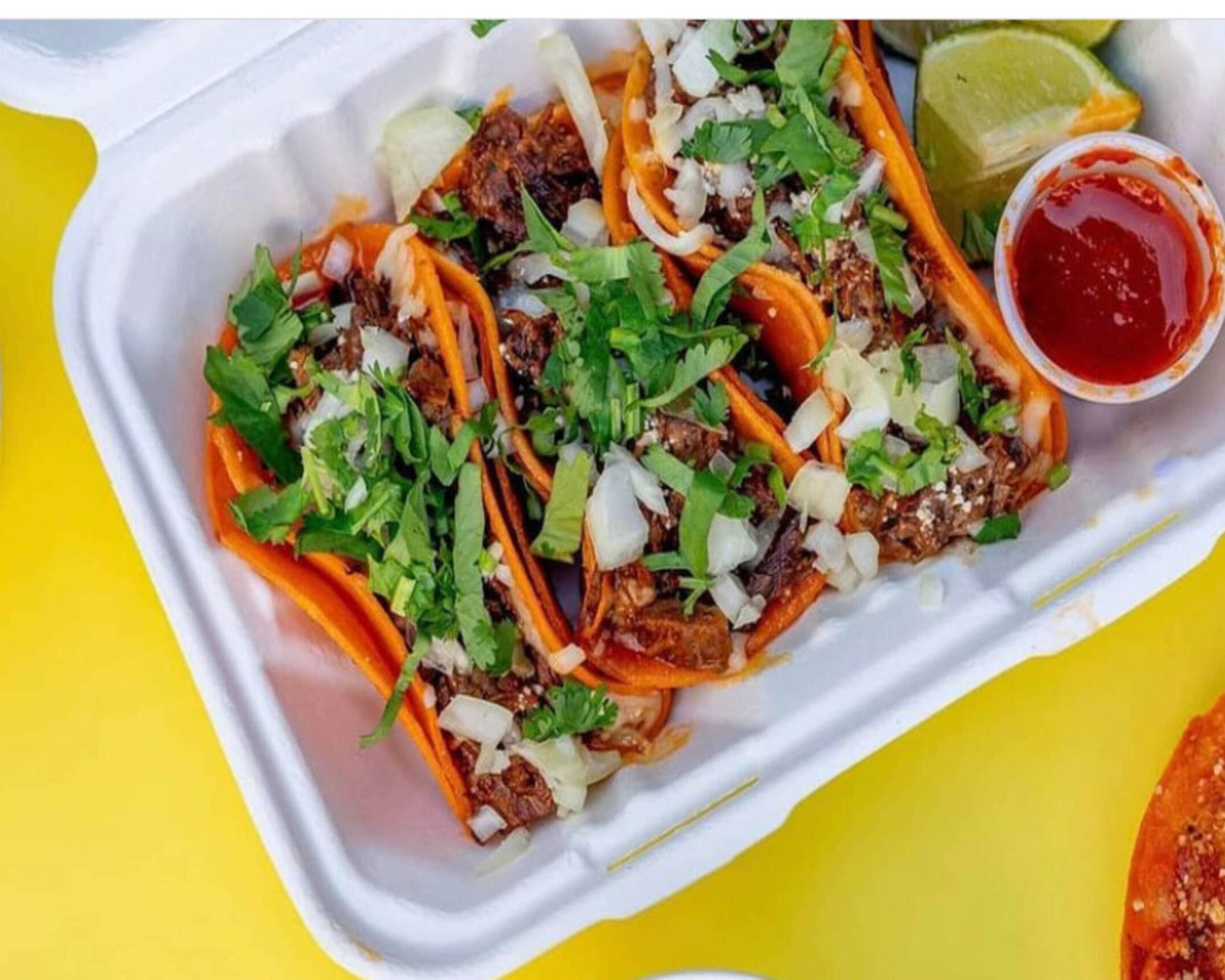 Birria LES