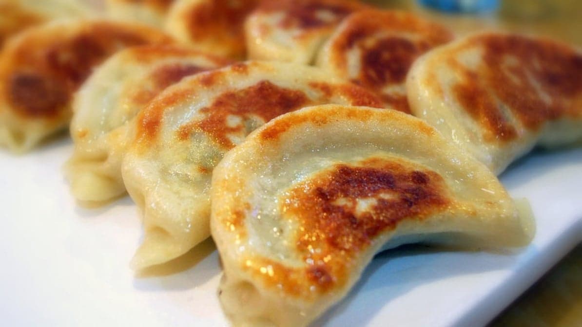 Pork Dumplings