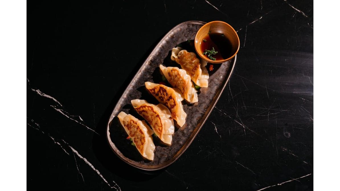 TERIYAKI CHICKEN DUMPLINGS