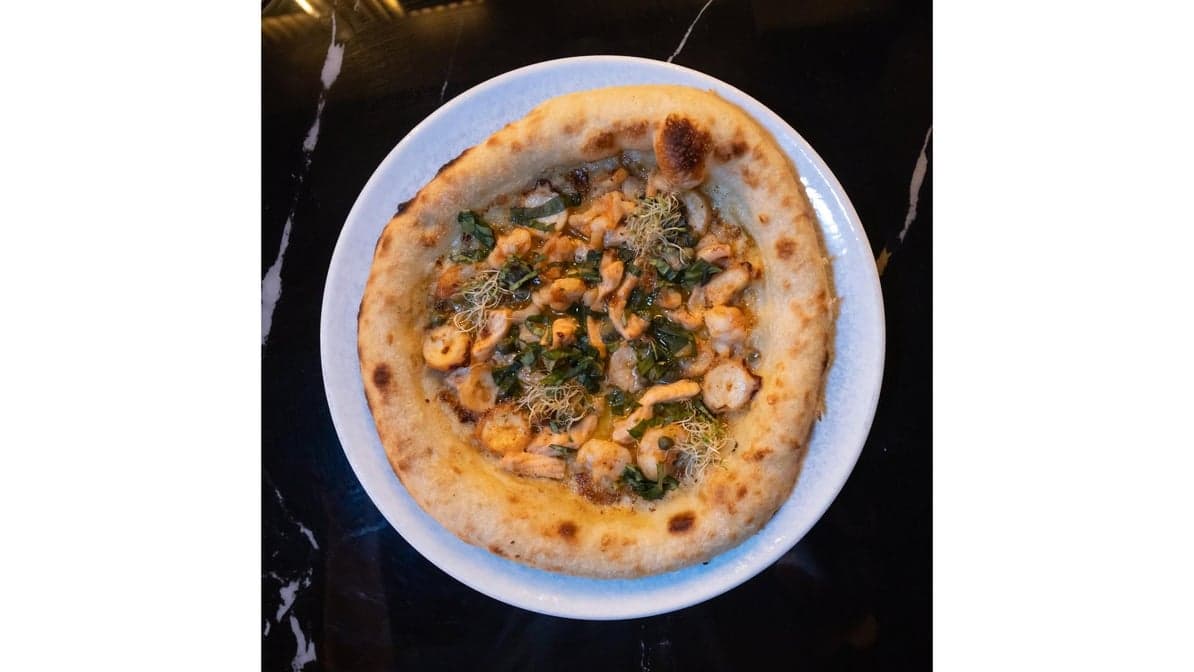 COASTAL GORGONZOLA SEAFOOD PIZZA