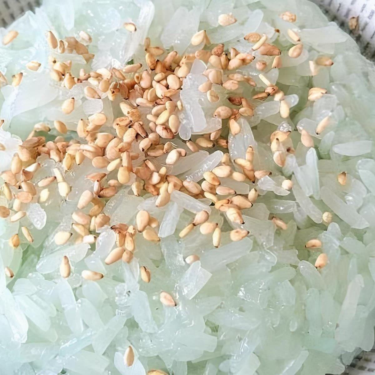 Butterfly Pea Sticky Rice