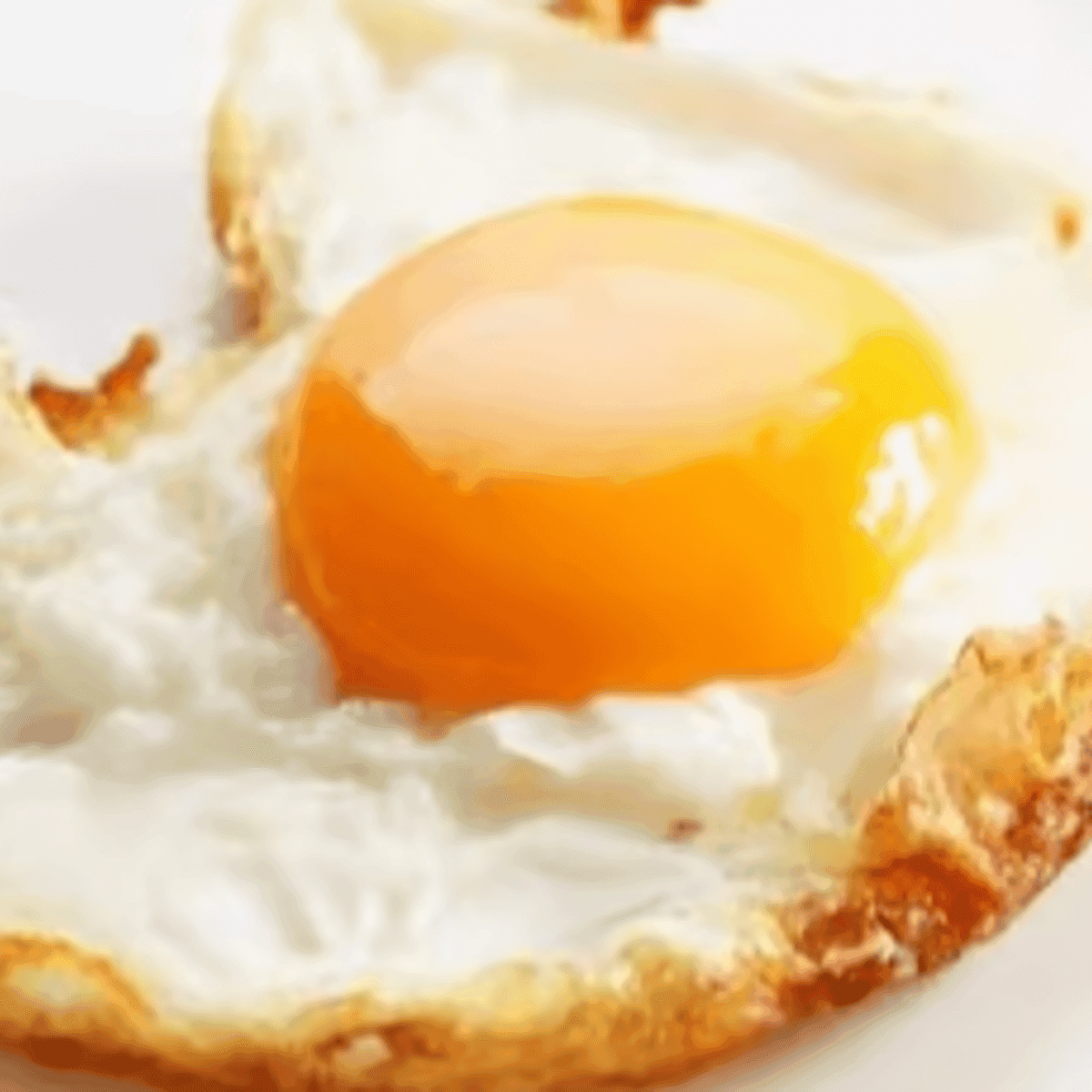 Fried Egg