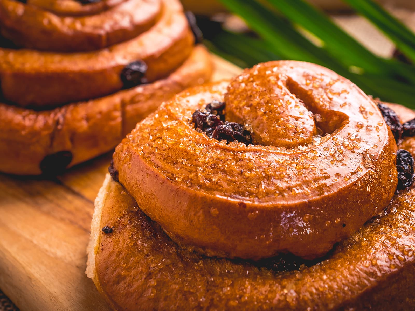 Round Bun