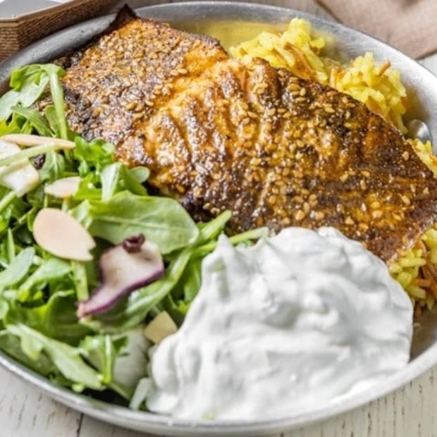Salmon