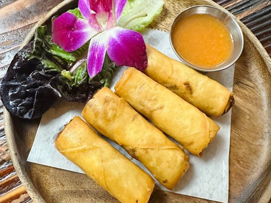 Spring Roll (V)