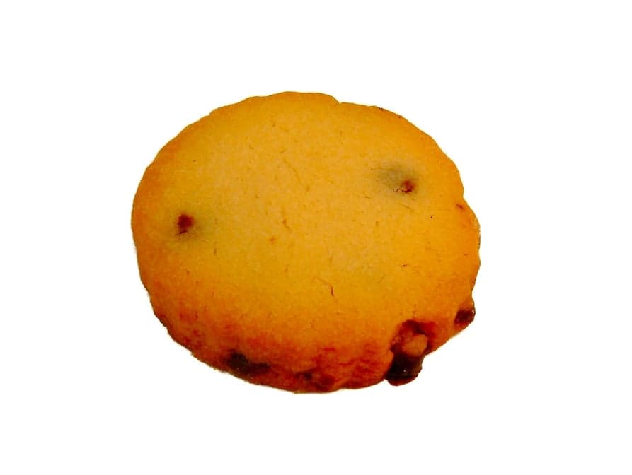 Chocolate Chip (Inside)