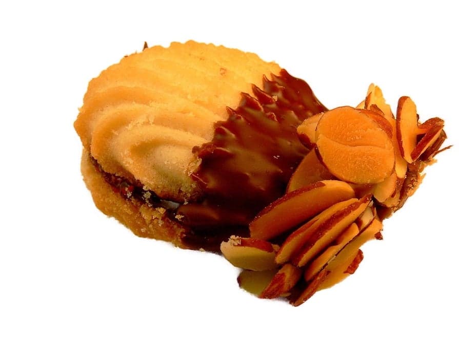 Vanilla Shell