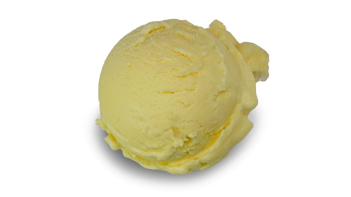 Passion Fruit Scoop