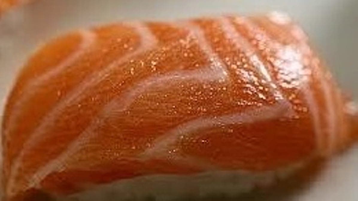 Toro Salmon