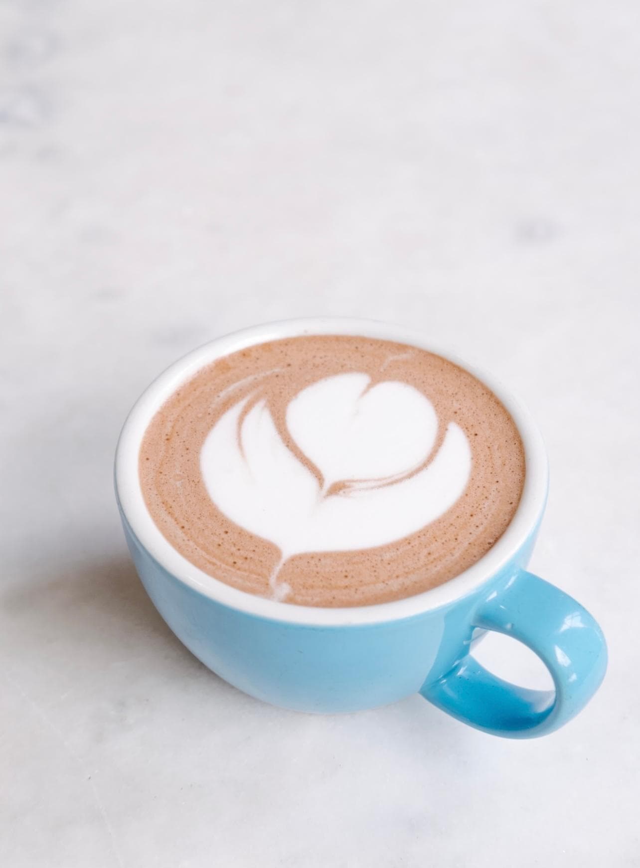 MOCHA 12oz