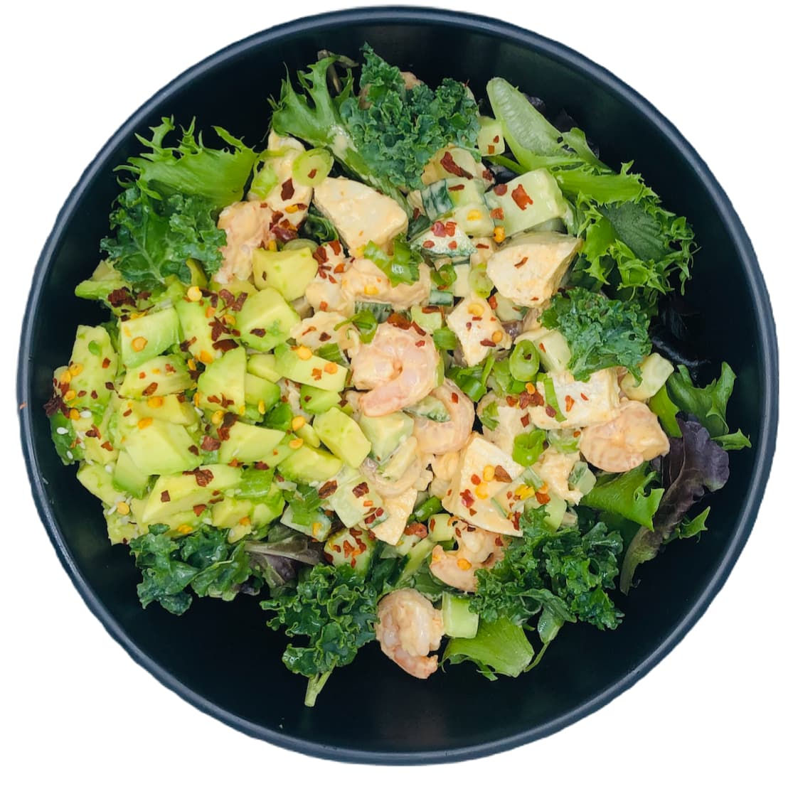 Protein Paradise
